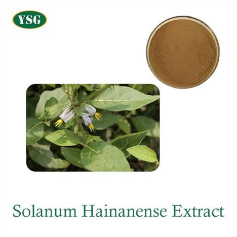 extracto de fruta de berenjena solanum melongena