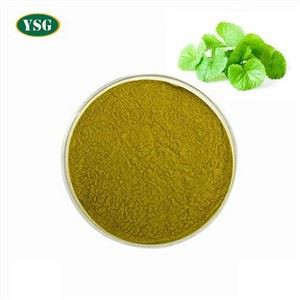 Polvo de extracto de centella asiática
